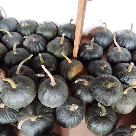 Agriturismo Al Marnich Schignano  Ngoại thất bức ảnh