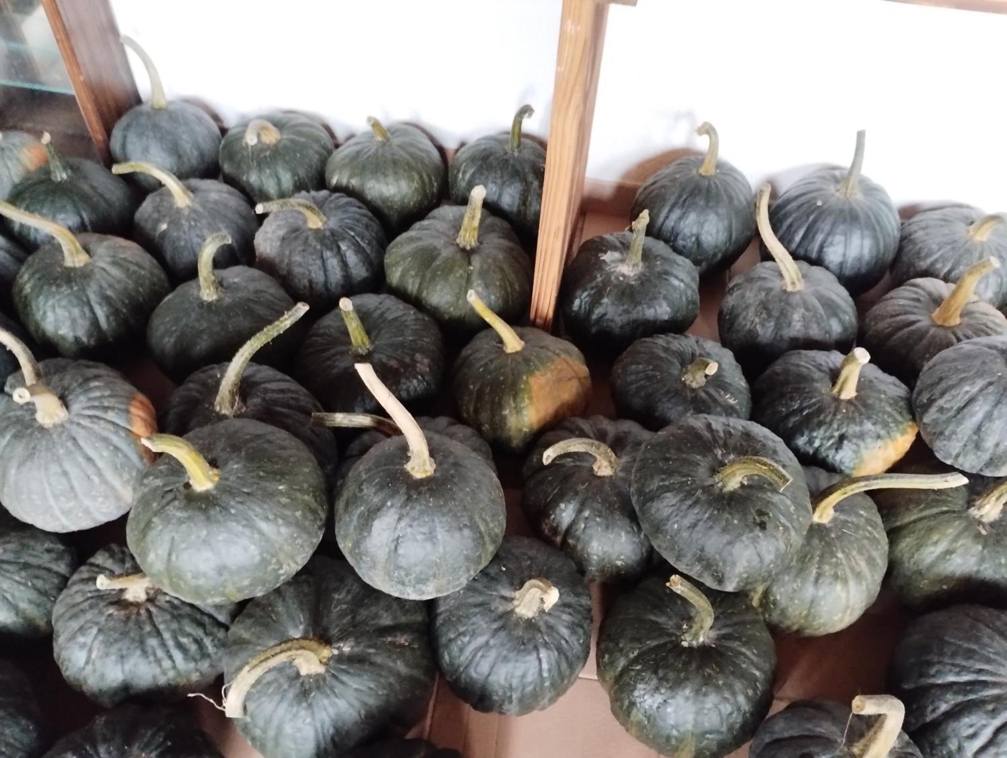 Agriturismo Al Marnich Schignano  Ngoại thất bức ảnh