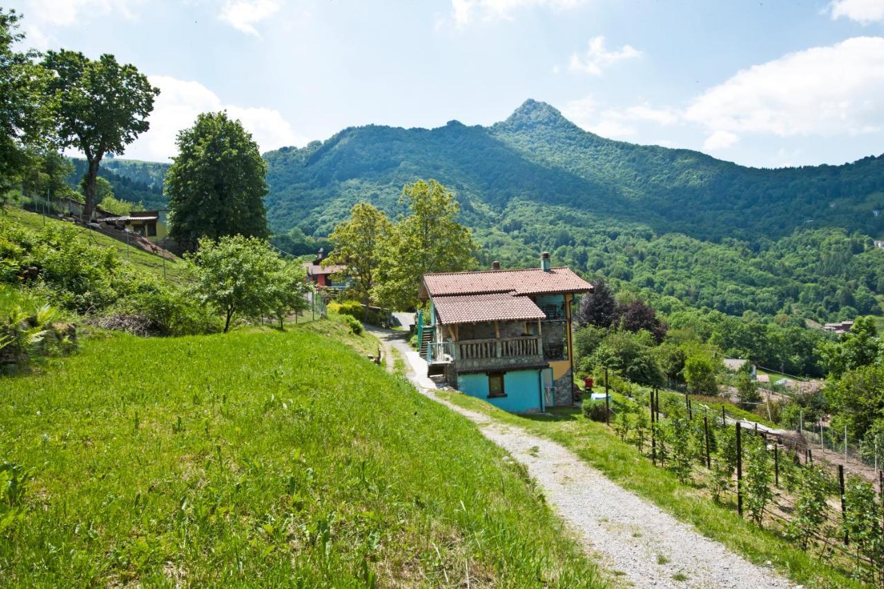 Agriturismo Al Marnich Schignano  Ngoại thất bức ảnh